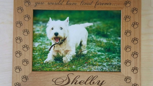 Forever in Our Hearts: Honoring Beloved Pets with a Heartfelt Pet Memorial