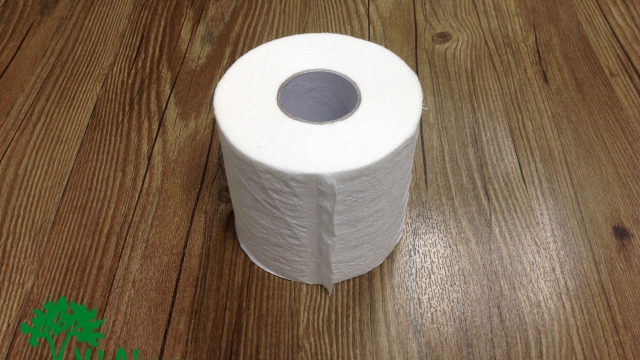 Unrolling the Truth: The Fascinating History of Toilet Paper