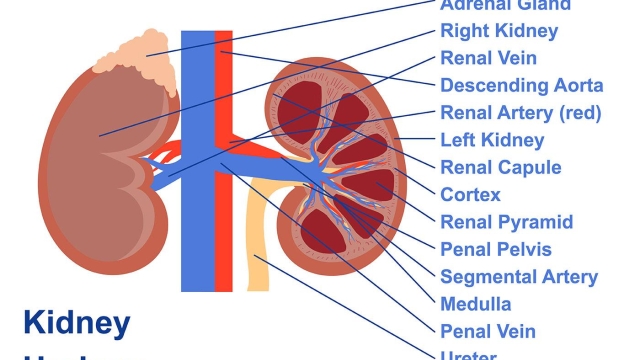 The Uncharted World of Urology: Exploring the Hidden Depths