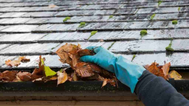 Raising the Roof: Uncovering the Secrets to Successful Roofing