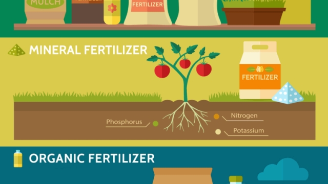 All You Need to Know about the Power of Organic Soil and Fertilizer