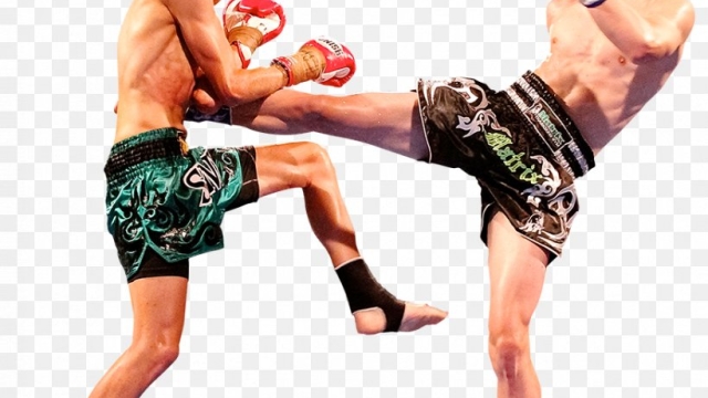 The Ultimate Guide to Combat Sports: Exploring Boxing, Muay Thai, Kickboxing, and Jiu Jitsu