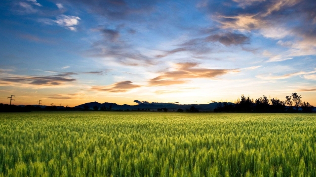 From Waves to Harvest: Unveiling the Magic of Coastal Farming