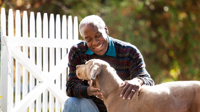 Pawsitive Vibes: Embracing the Joy of Pet Parenthood