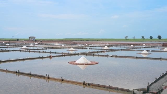 Overview of Essential Fish Farming Equipment
