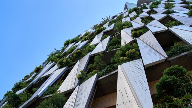 Understanding the Importance of Indoor Air Quality