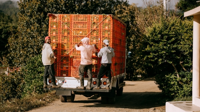 The Importance of Hiring an Experienced Moving Team Moving daunting