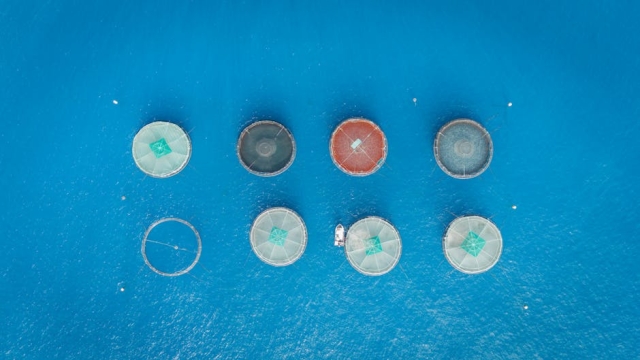 Overview of efficient aquaculture systems and Their Importance