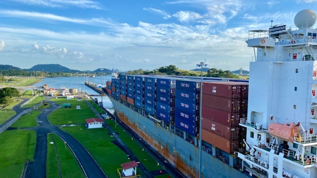 Overview of Global Trade Data Platforms