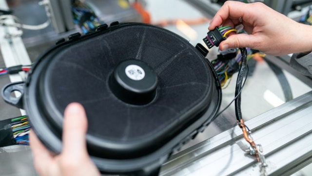 Overview of Pet Door Options for Homes in Austin