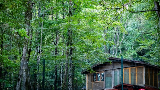 Understanding Leisure Property Investment Basics and Benefits