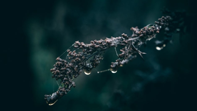 Popular Beach Towel Colors