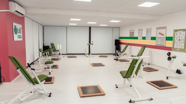 Benefits of Private Dog Training in Houston